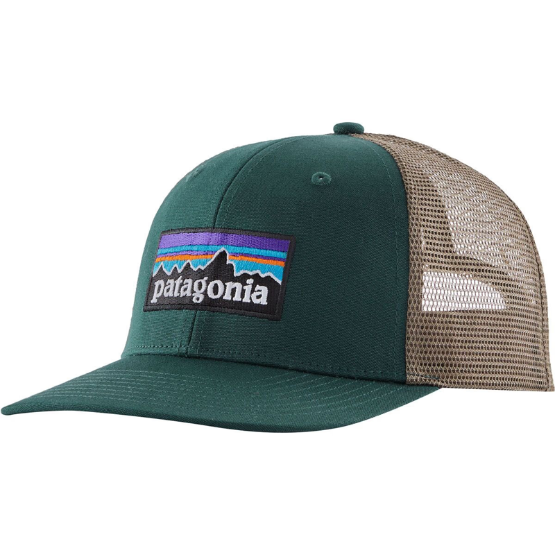 Patagonia P-6 Logo Trucker Hat in Cascade Green