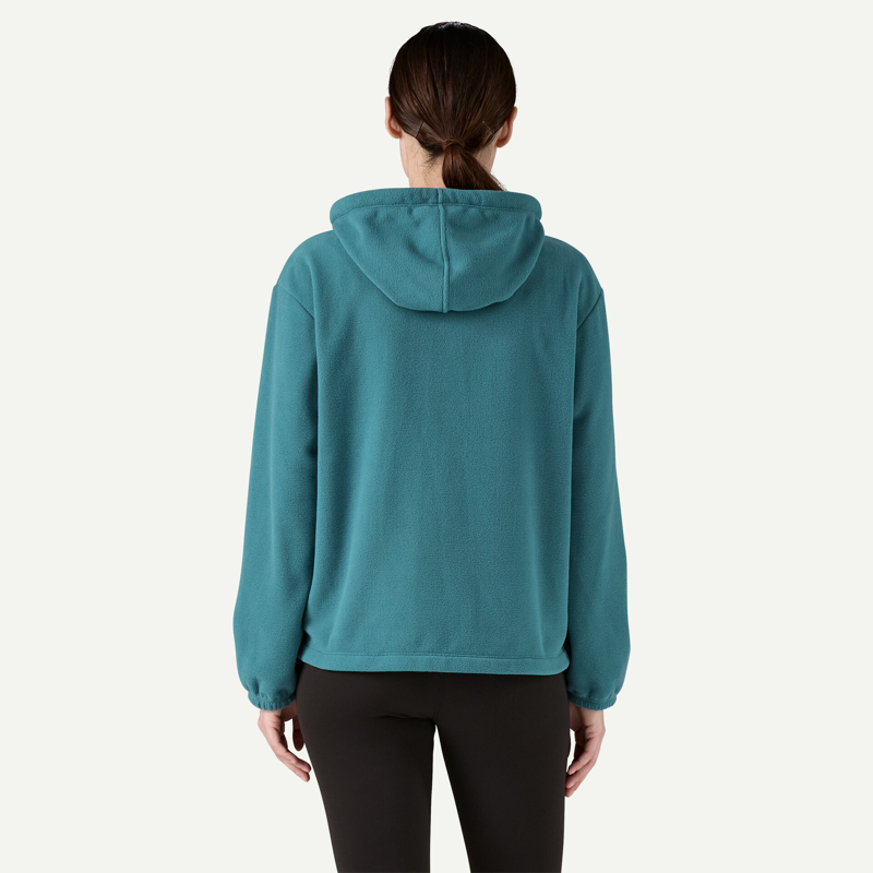Patagonia Women's Micro D Fleece Hoody in Wetland Blue-2
