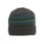 Pistil Forester Beanie in Peat
