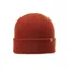 Pistil Tinh Beanie in Brick