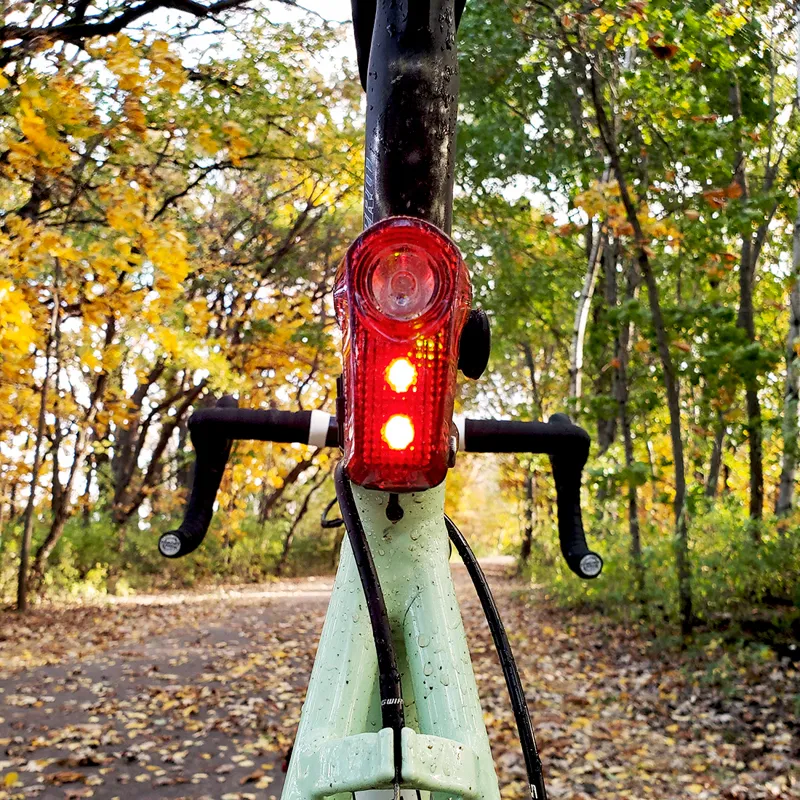 Planet Bike Superflash USB-Rechargeable Tail Light-6