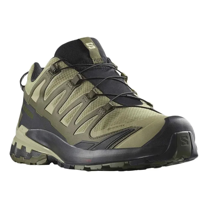 Salomon XA Pro 3D V9 GTX Shoe in Dried Herb/Black/Olive Night-1