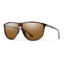 Smith Mono Lake in Tortoise and Polarized Brown