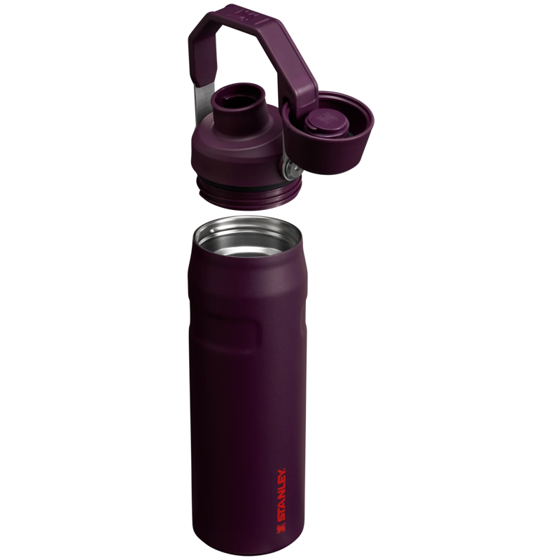 Stanley IceFlow Bottle with Fast Flow Lid 24 oz in Plum-1