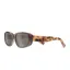 Suncloud Lane Sunglasses in Sepia Crystal/Polarized Gray Lens