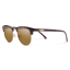 Suncloud Step Out in Tortoise w/Polarized Brown Lens