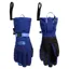 The North Face Montana Gloves in Bold Blue