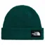 The North Face Salty Lined Beanie in Pacific Teal