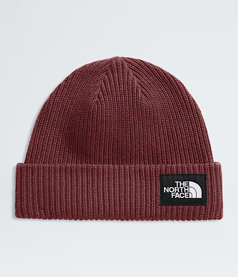 The North Face Salty Lined Beanie in Sumac