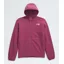 The North Face Teen Glacier Full Zip Hooded Jacket in Cyber Berry
