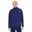 The North Face Textured Cap Rock 1/4 Zip in Bold Blue Heather