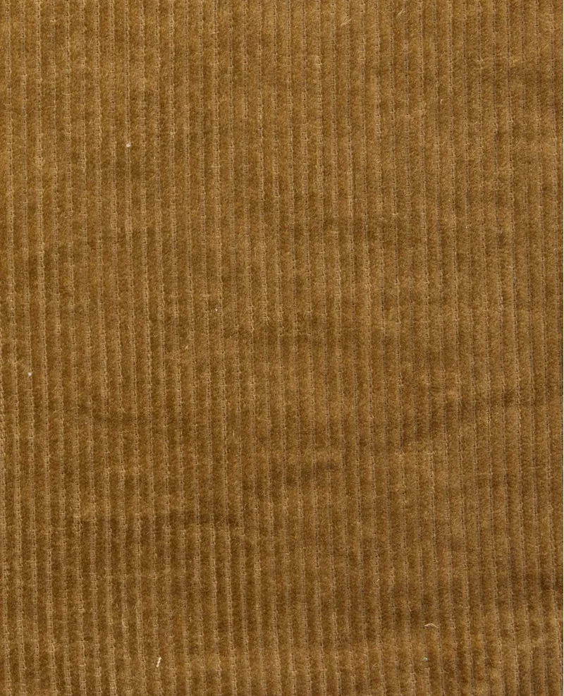 Toad and Co. Cascadia Cord Long Sleeve Shirt in Honey Brown-4