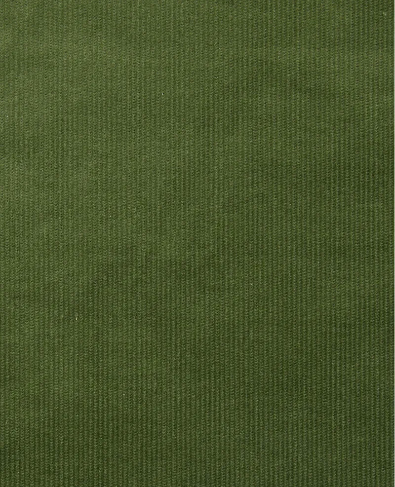 Toad and Co Coaster Cord Lean Pant in Epidote-3