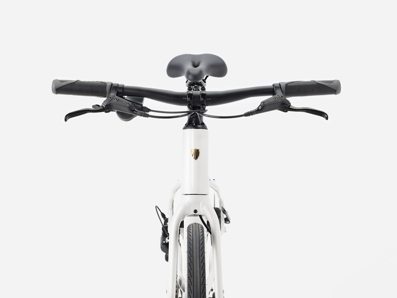 Trek FX 2 Midstep Gen 4 Hybrid Bike in Crystal White-3