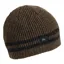 Turtle Fur Mr. Happy Ocean Ragg Wool Beanie in Earth