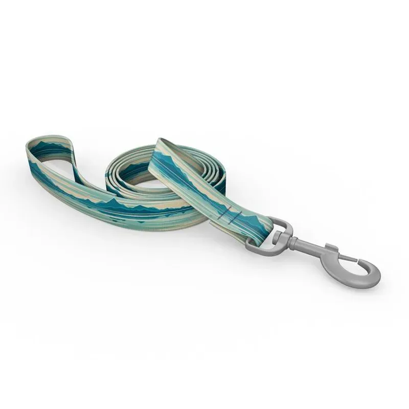 Wingo Bowie Dog Leash 6ft in Mountain Lake