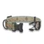 Wingo Coosa Dog Collar in Kind Design Topo