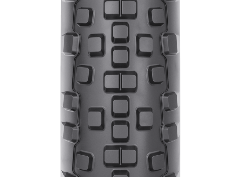 WTB Resolute 700 TCS Light Tire-2