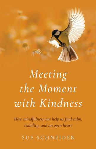 Meeting The Moment With Kindness