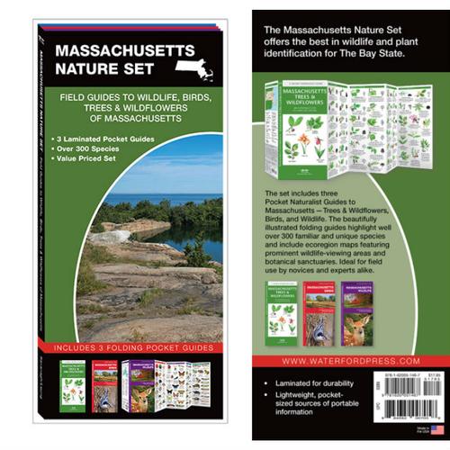 MASSACHUSETTS NATURE SET: FIELD GUIDE TO WILDLIFE, BIRDS, TREES & WILDFLOWERS