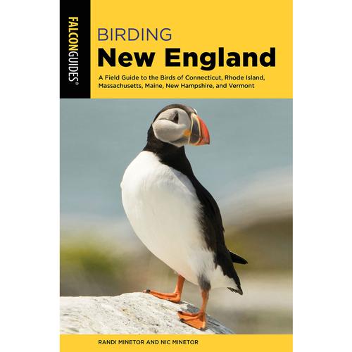 BIRDING NEW ENGLAND: A Field Guide to the Birds of Connecticut, Rhode Island, Massachusetts, Maine, New Hampshire, and Vermont (Birding Series)