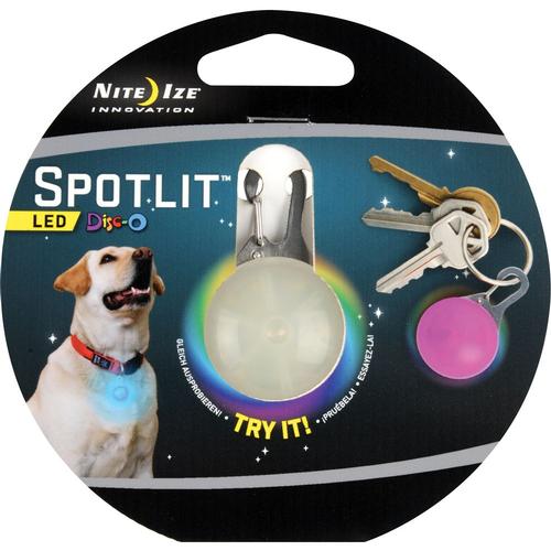 Spotlit Dog Light